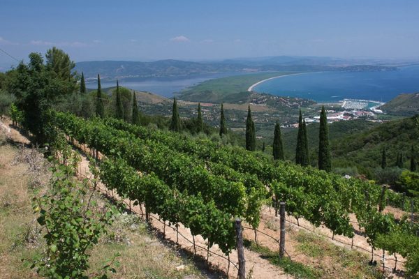 Location de Maison de Vacances - Villa Miracole - Onoliving - Italie - Toscane - Maremme