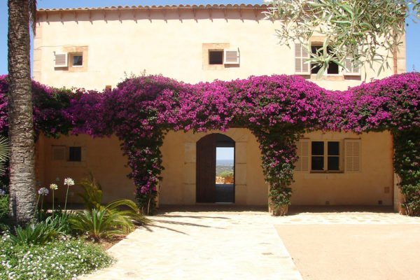 Location de maison de vacances, Villa MAY075, Onoliving, Espagne, Baléares - Majorque