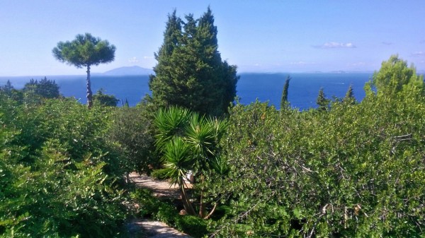Location Maison de Vacances - Nobila - Onoliving - Italie - Côte Amalfitaine - Île de Capri