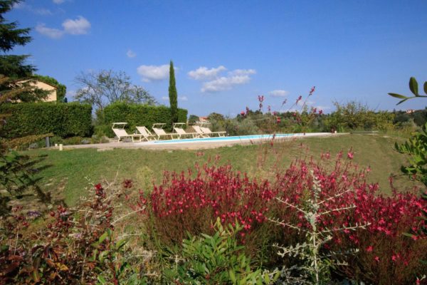 Location de Maison de Vacances - Il Rosino Alto - Onoliving - Italie, Toscane - Pise