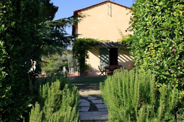 Location de Maison de Vacances - Il Rosino Alto - Onoliving - Italie, Toscane - Pise