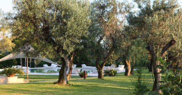 Location Maison de Vacances - Villa Julianne - Onoliving - Italie - Pouilles - Gallipoli