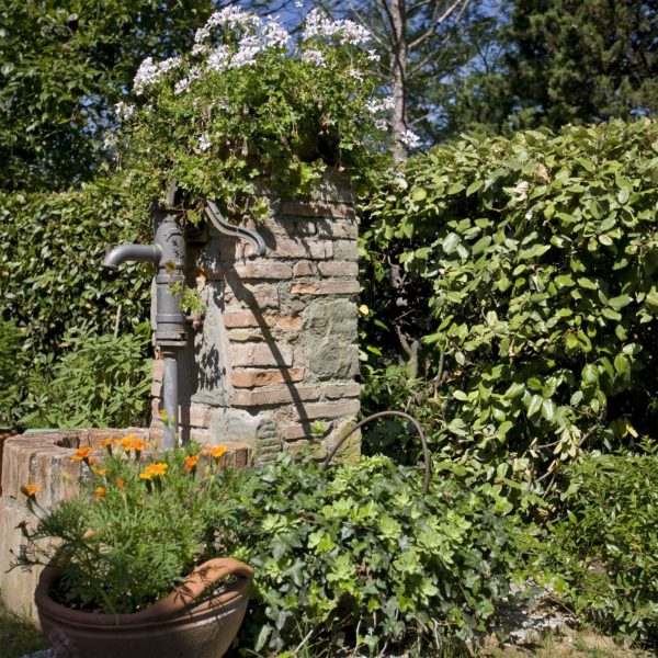 Location de Maison de Vacances - La Fonte - Onoliving - Italie - Toscane - Pise