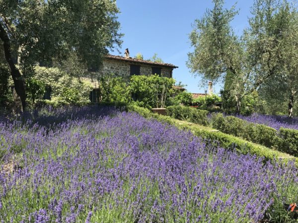 Location Maison de Vacances - Macennere Onoliving - Toscane - Lucca - Italie
