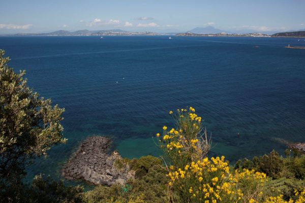 Location de Maison de Vacances - Onoliving - Italie, Campanie - Île d'Ischia