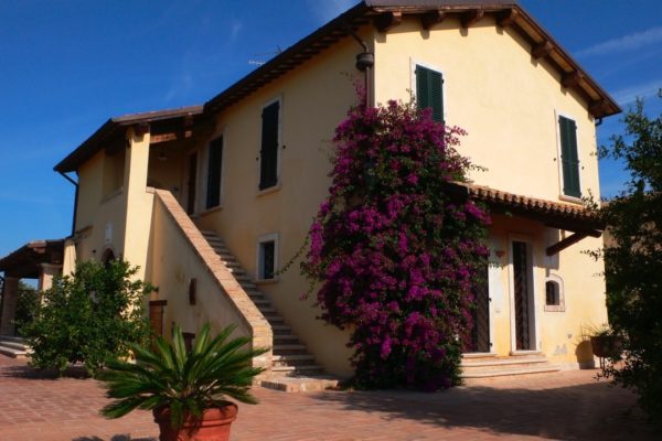 Location Maison de Vacances - Villa Pandrone - Onoliving - Italie - Les Marches - San Benedetto del Tronto