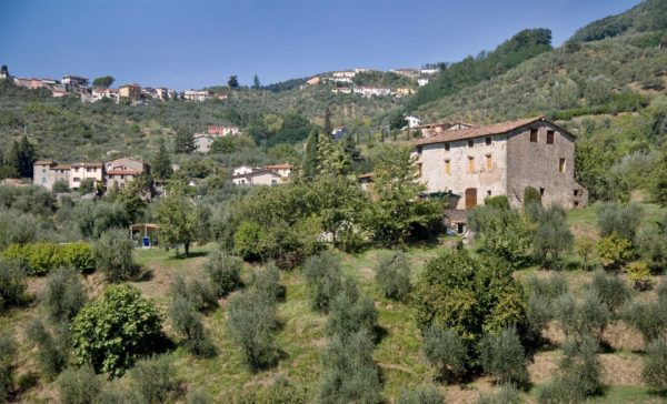 Location Maison de vacances - Onoliving -Italie - Toscane - Lucca