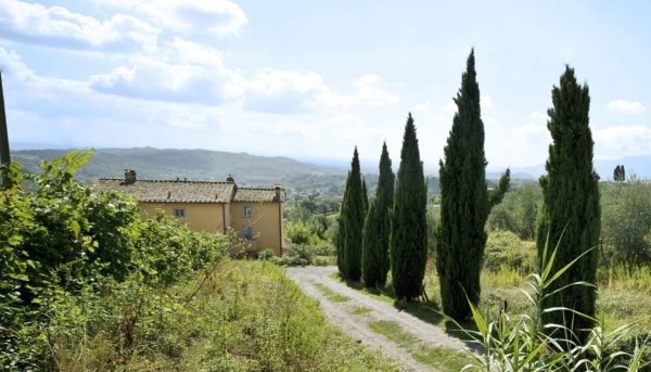 Location Maison de vacances - Villa Teto - Onoliving - Italie - Toscane - Lucca