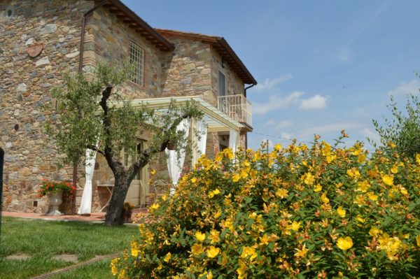 Location Maison de vacances - NelGuasto - Onoliving - Italie - Toscane - Lucca