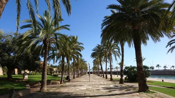 Palma de Majorque - Les Baléares