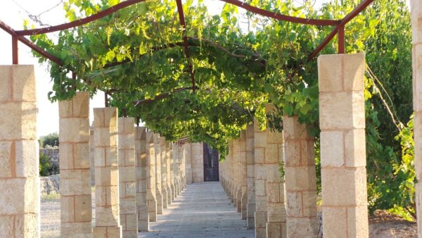 Location Maison de Vacances - Casa Martina - Onoliving - Italie - Pouilles - Santa Maria di Leuca