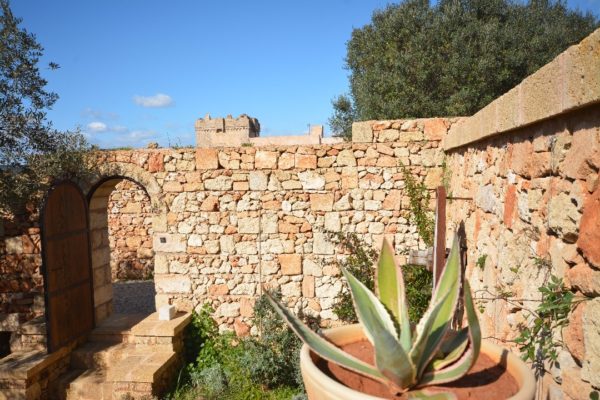 Location Maison de Vacances - Casa Martina - Onoliving - Italie - Pouilles - Santa Maria di Leuca