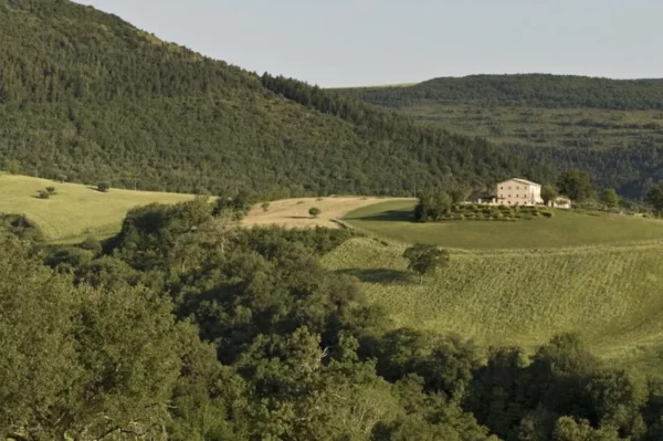 Vue sur le paysage des Marches