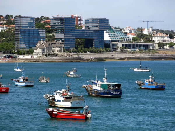 Vue de la région de Cascais