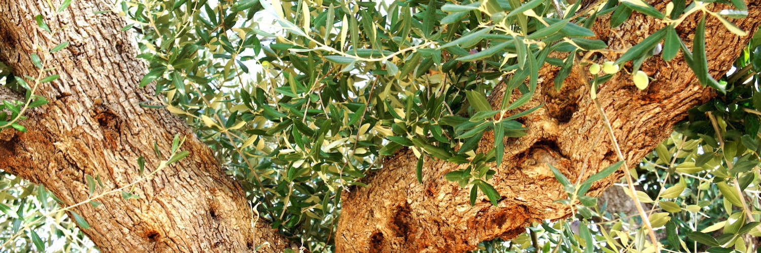 SAVOURER LA NATURE