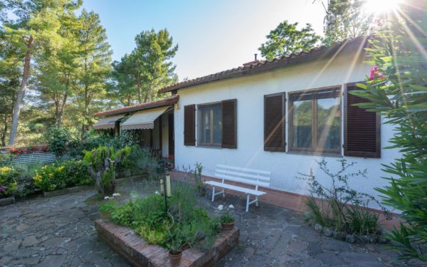 Location Vacances, Villa Miglia Onoliving, Toscane, Chianti, Italie