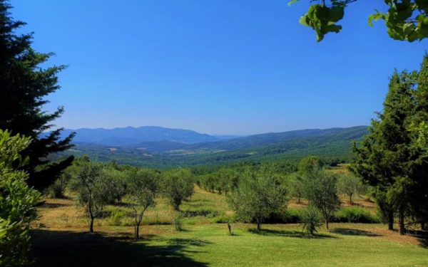 Helena Onoliving, Location Vacances, Toscane, Pise, Italie