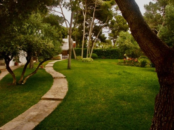 Location Villa Vacances, Villa MAY068, , Onoliving, Baléares - Majorque, Espagne