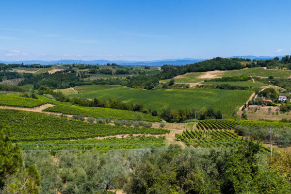 Location Maison Vacances, Onoliving , Villa Florenza - Toscane, Chianti, Italie