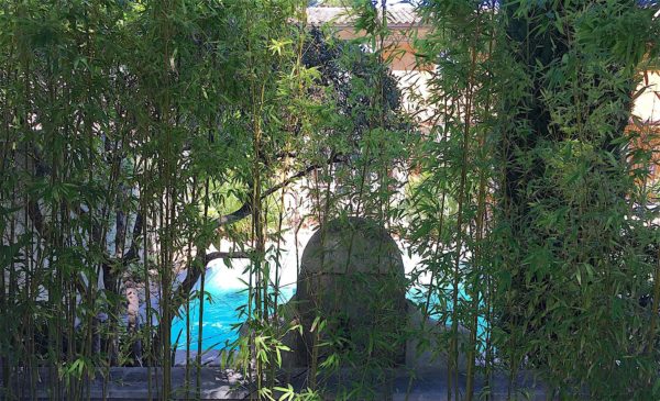Location Maison de Vacances, Onoliving, Mas Blanche, France, Provence - Saint Rémy de Provence