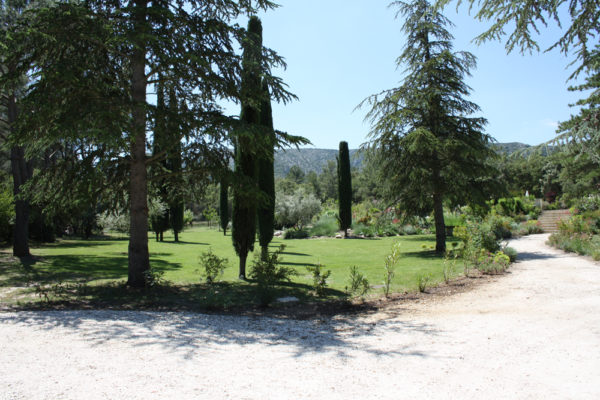 Location Maison de Vacances - Villa Hélène - Onoliving - Provence - Eygalières - France