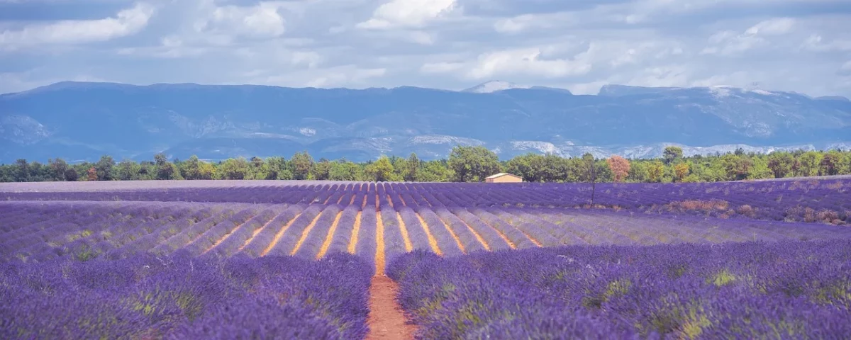 Villas de luxe en Provence