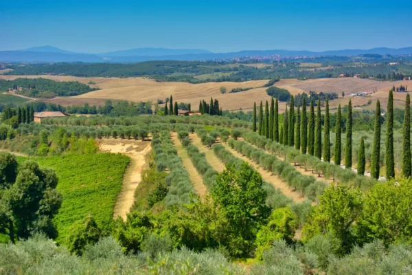 La Toscane