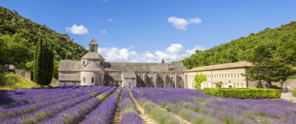 Abbaye Notre-Dame de Sénanque, Gordes