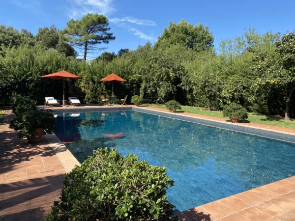 Vue sur la piscine et le jardin de Villa Bongi - Région de Lucca - Toscane