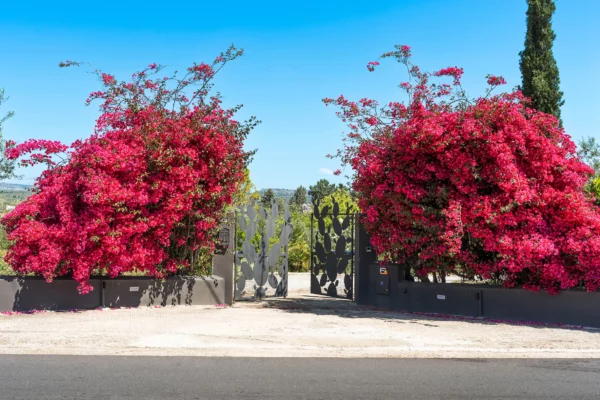 Entrée de la Villa Anabela - Location de villa en Sicle